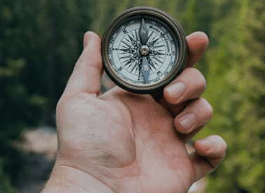 Discover Your Life’s Purpose