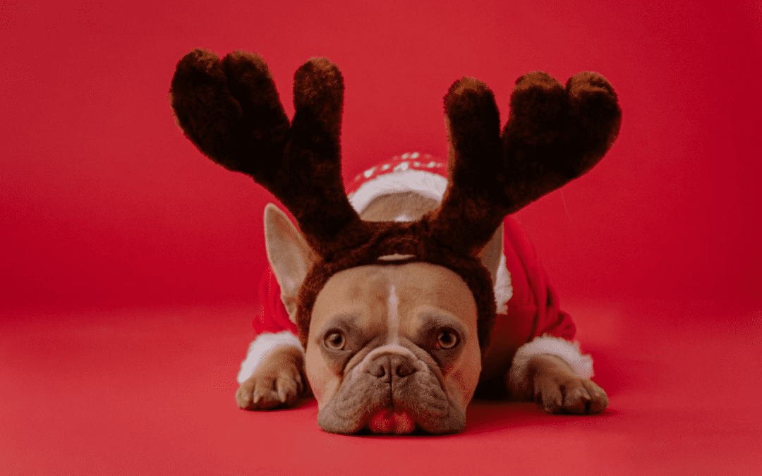 5 Tips To Get Through the Holiday Blues