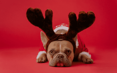 5 Tips To Get Through the Holiday Blues